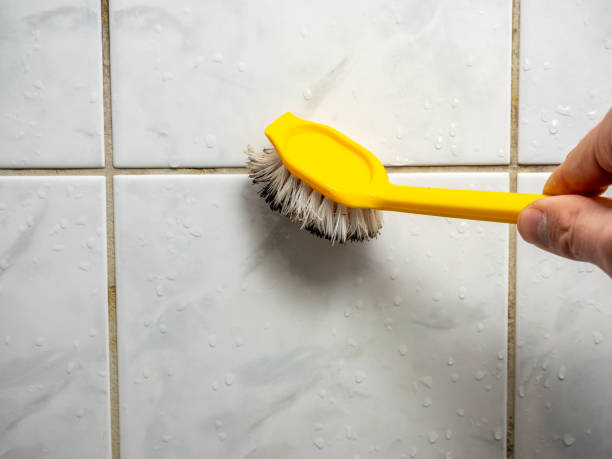 Best Kitchen Mold Remediation in Marion, TX