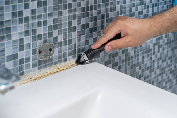 Best Mold Remediation for Schools in Marion, TX