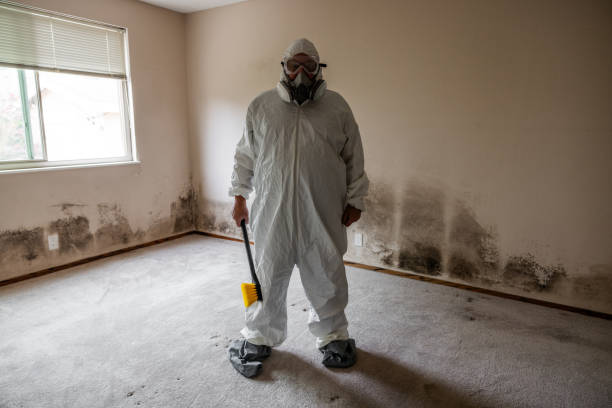 Best HVAC Mold Remediation in Marion, TX
